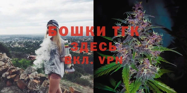 прущий лед Пересвет