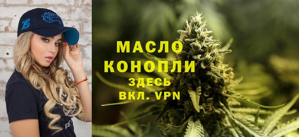 прущий лед Пересвет
